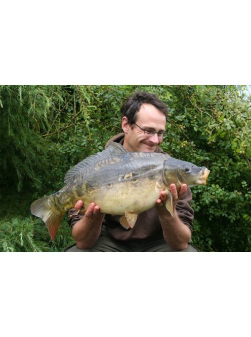 Korda Kruiser Control Liner - 0,33mm - 12lb - 150m