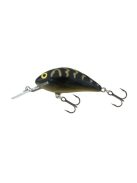 Salmo Hornet - 2,5 cm - H2S - 1,5g - RD