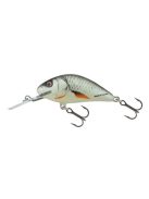 Salmo Hornet - 2,5 cm - H2S - 1,5g - RD
