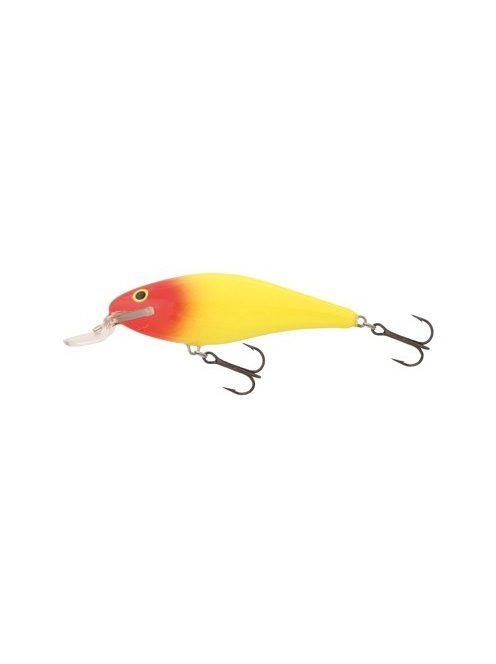 Salmo Executor - IEX5SR - 5cm - 5g - RHP