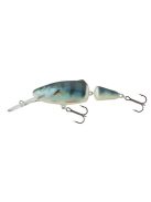 Salmo Frisky - FR7DR - 7cm - 9g - GT