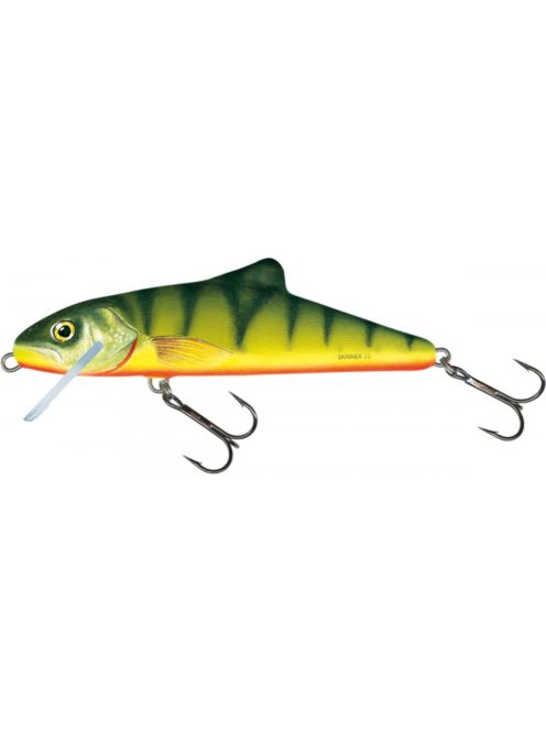 Salmo Skinner - SK10F - 10cm - 15g - T