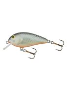 Salmo Butcher - BR5F - 5cm - 5g - GT