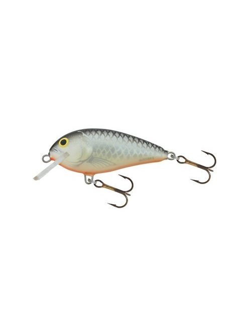 Salmo Butcher - BR5F - 5cm - 5g - GT