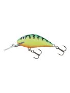 Salmo Hornet - 2,5 cm - H2S - 1,5g - UVO