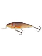 Salmo Executor - IEX5SR - 5cm - 5g - RR