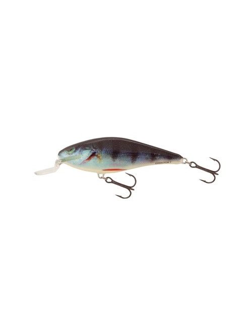 Salmo Executor - IEX5SR - 5cm - 5g - RR