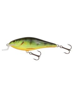 Salmo Executor - IEX7SR - 7cm - 8g - RH