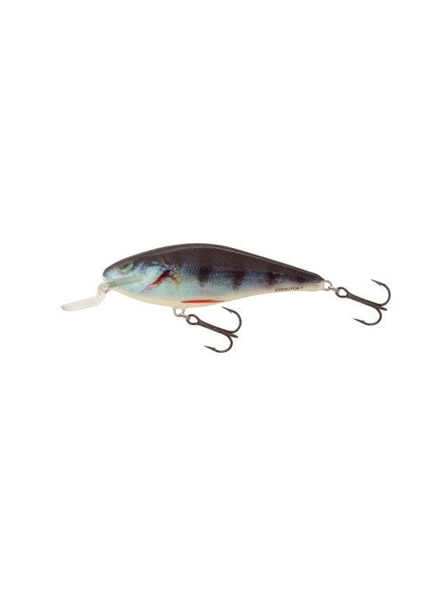 Salmo Executor - IEX7SR - 7cm - 8g - RH