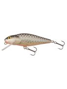 Salmo Perch - PH8F - 8cm - 12g - GT