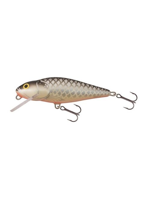 Salmo Perch - PH8F - 8cm - 12g - GT