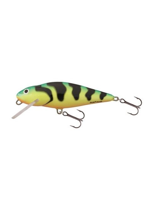Salmo Perch - PH8F - 8cm - 12g - GT