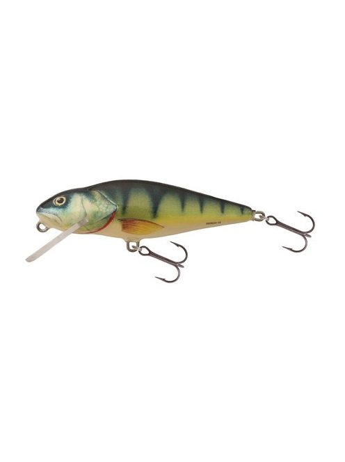 Salmo Perch - PH8F - 8cm - 12g - GT