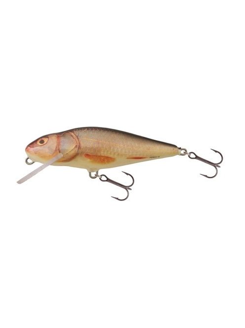 Salmo Perch - PH8F - 8cm - 12g - GT