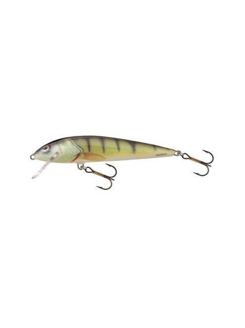 Salmo Minnow - M5F - 5cm - 3g - GT