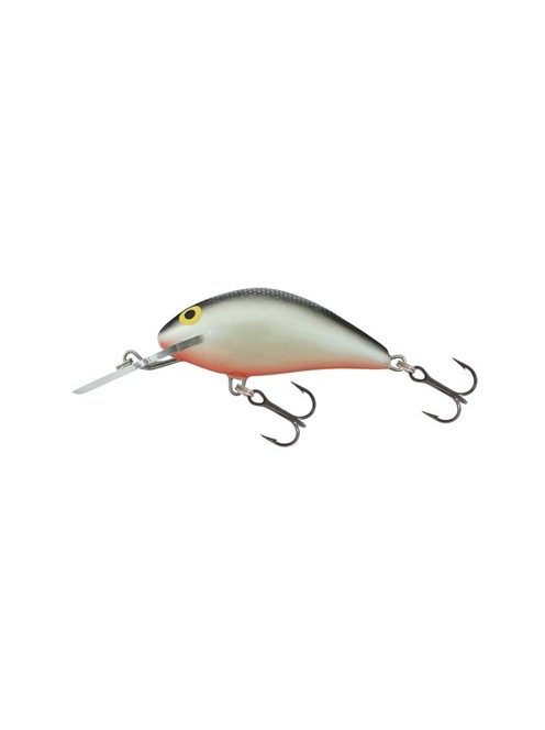 Salmo Hornet - 2,5 cm - H2S - 1,5g - BE