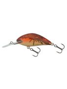 Salmo Hornet - 2,5 cm - H2S - 1,5g - BE