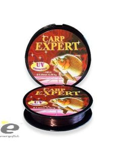 Carp Expert UV Protection - 0,17mm - 150m