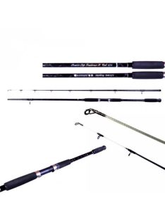 Eurostar Power Tip Traverse-X Cat - 3,00m - 200-600g